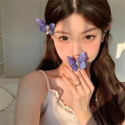 假元首秘纪